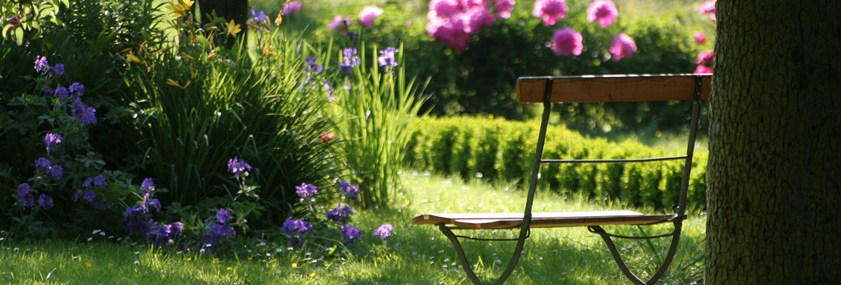 Ein Holzstuhl vor einer Blumenwiese